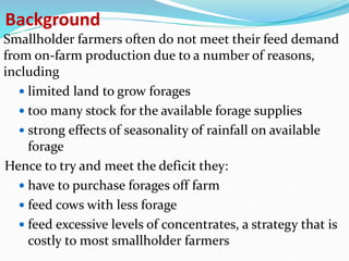 Fodder markets study in Tanzania