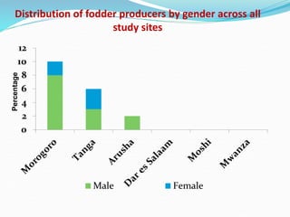 Fodder markets study in Tanzania