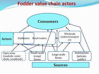 Fodder markets study in Tanzania