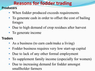 Fodder markets study in Tanzania