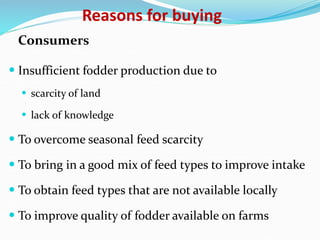 Fodder markets study in Tanzania