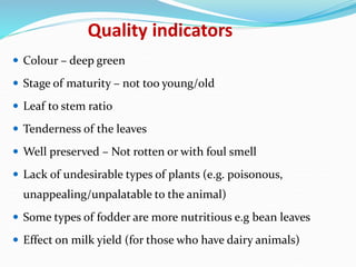 Fodder markets study in Tanzania