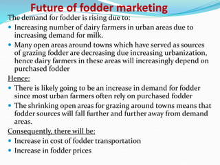 Fodder markets study in Tanzania