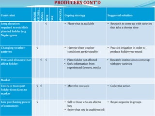 Fodder markets study in Tanzania