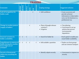 Fodder markets study in Tanzania
