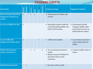 Fodder markets study in Tanzania