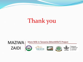 Fodder markets study in Tanzania