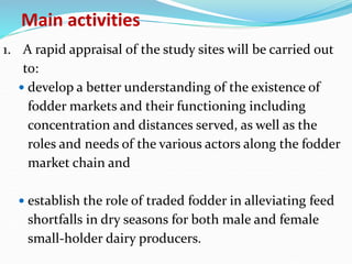 Fodder markets study in Tanzania