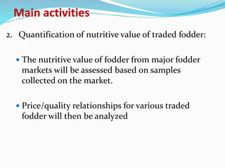 Fodder markets study in Tanzania
