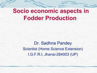 Socio economic aspects in
Fodder Production 
Dr. Sadhna Pandey
Scientist (Home Science Extension)
I.G.F.R.I, Jhansi-284003 (UP)
 