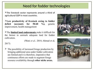 Through Fodder Fodder technologies Dr Suheel Ahmad NADCL Dairy.pptx