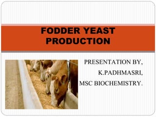 PRESENTATION BY,
K.PADHMASRI,
MSC BIOCHEMISTRY.
FODDER YEAST
PRODUCTION
 