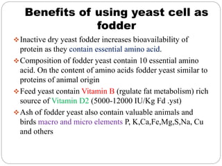 Benefits of using yeast cell as
fodder
Inactive dry yeast fodder increases bioavailability of
protein as they contain essential amino acid.
Composition of fodder yeast contain 10 essential amino
acid. On the content of amino acids fodder yeast similar to
proteins of animal origin
Feed yeast contain Vitamin B (rgulate fat metabolism) rich
source of Vitamin D2 (5000-12000 IU/Kg Fd .yst)
Ash of fodder yeast also contain valuable animals and
birds macro and micro elements P, K,Ca,Fe,Mg,S,Na, Cu
and others
 