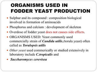 ORGANISMS USED IN
FODDER YEAST PRODUCTION
 Sulphur and its compound : composition biological
involved in formation of aminoacids
 Phosphorus and calcium : development of skeleton
 Overdose of fodder yeast does not causes side effects.
 ORGANISMS USED: Yeast commonly used
commercially strain of Candida utilis,(torula yeast) often
called as Torulopsis utilis
 Other yeast used commerically or studied extensively in
laboratory include C.tropicalis and
 Saccharomyces cerevisea
 