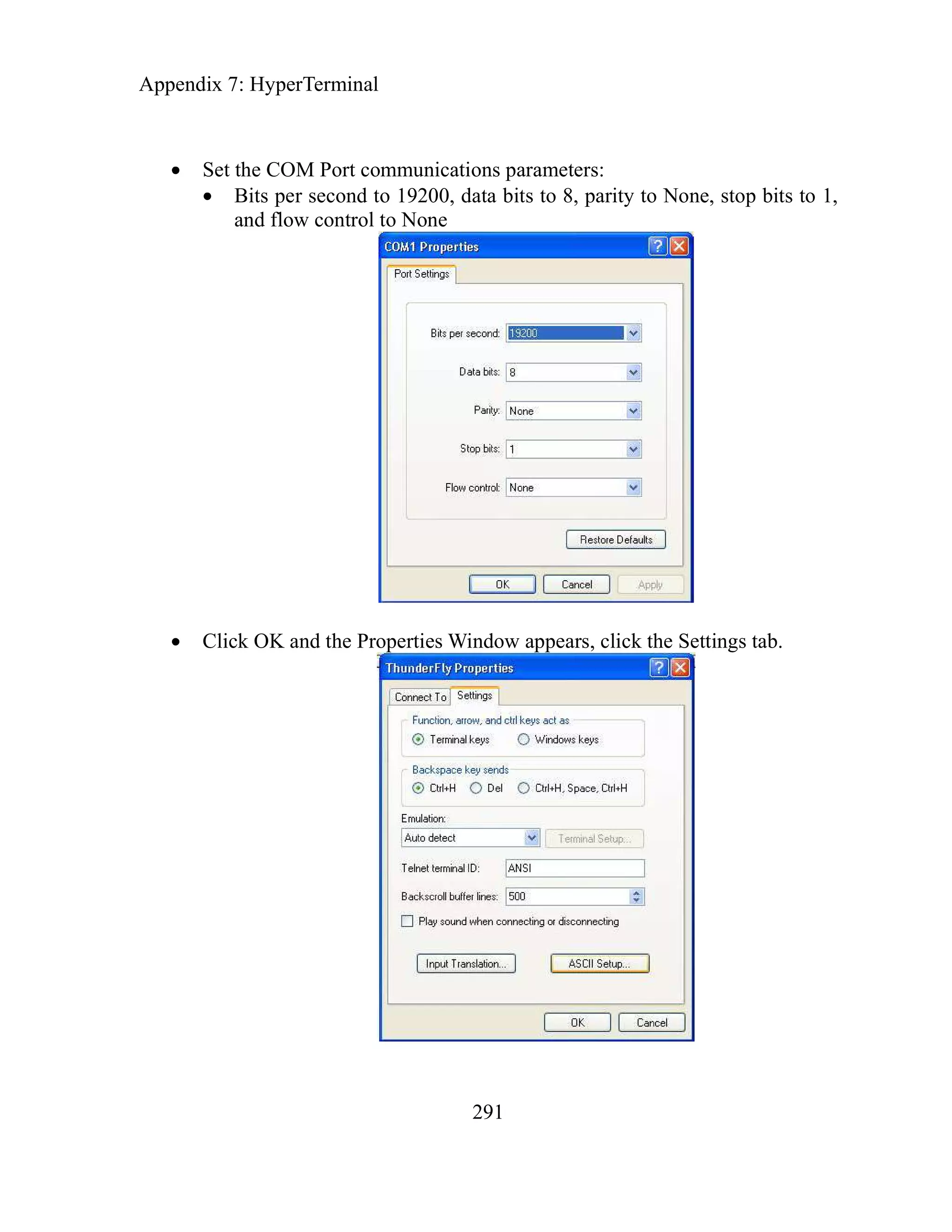 Appendix 7: HyperTerminal
291
Set the COM Port communications parameters:
Bits per second to 19200, data bits to 8, parity to None, stop bits to 1,
and flow control to None
Click OK and the Properties Window appears, click the Settings tab.
 