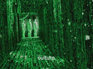 culture

 