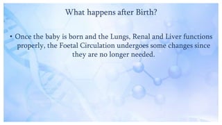 What happens after Birth?
• Once the baby is born and the Lungs, Renal and Liver functions
properly, the Foetal Circulation undergoes some changes since
they are no longer needed.
 