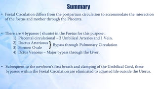 Summary
• Foetal Circulation differs from the postpartum circulation to accommodate the interaction
of the foetus and mother through the Placenta.
• There are 4 bypasses ( shunts) in the Foetus for this purpose :
1) Placental circulational – 2 Umbilical Arteries and 1 Vein.
2) Ductus Arteriosus
3) Formen Ovale
4) Dctus Venosus – Major bypass through the Liver.
• Subsequent to the newborn's first breath and clamping of the Umbilical Cord, these
bypasses within the Foetal Circulation are eliminated to adjusted life outside the Uterus.
} Bypass through Pulmonary Circulation
 