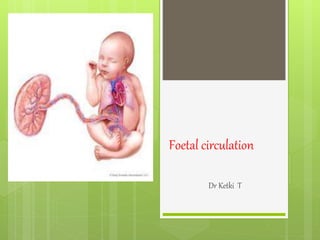 Foetal circulation
Dr Ketki T
 