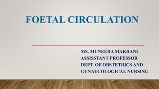 FOETAL CIRCULATION
MS. MUNEERA MAKRANI
ASSISSTANT PROFESSOR
DEPT. OF OBSTETRICS AND
GYNAECOLOGICAL NURSING
 