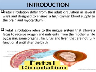 Comprehensive Overview of Fetal Circulation and Postnatal Changes | PPTX