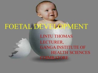 FOETAL DEVELOPMENT
LINTU THOMAS
LECTURER,
GANGA INSTITUTE OF
HEALTH SCIENCES
COIMBATORE
 