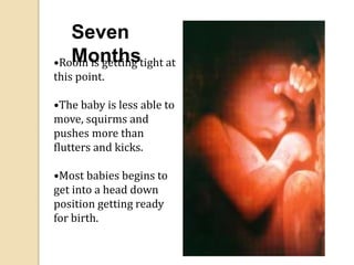Seven
Months•Room is getting tight at
this point.
•The baby is less able to
move, squirms and
pushes more than
flutters and kicks.
•Most babies begins to
get into a head down
position getting ready
for birth.
 