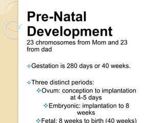 Pre-Natal
Development
23 chromosomes from Mom and 23
from dad
Gestation is 280 days or 40 weeks.
Three distinct periods:
Ovum: conception to implantation
at 4-5 days
Embryonic: implantation to 8
weeks
Fetal: 8 weeks to birth (40 weeks)
 