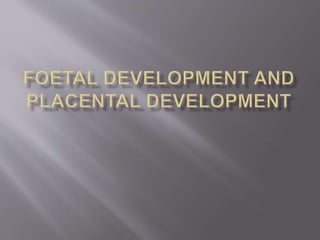 Foetal development and placental development | PPTX