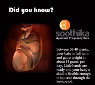 Foetal development  