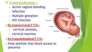  Contraindication :-
 Active vaginal bleeding
 Infection
 Multiple gestation
 HIV infection
In transcervical CVS:-
 cervical stenosis,
 cervical myomas
In transabdominal CVS:-
 fetal position that block access to
placenta
 