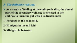3- The definitive yolk sac:
 As a result of folding at the embryonic disc, the dorsal
part of the secondary yolk sac is enclosed in the
embryo to form the gut which is divided into:
1- Foregut: in the head fold.
2- Hindgut: in the tail fold.
3- Mid gut: in between.
 