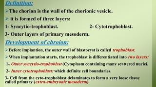 Definition:
The chorion is the wall of the chorionic vesicle.
 it is formed of three layers:
1- Syncytio-trophoblast. 2- Cytotrophoblast.
3- Outer layers of primary mesoderm.
Development of chroion:
Before implantion, the outer wall of blastocyst is called trophoblast.
When implantation starts, the trophoblast is differentiated into two layers:
1- Outer syncytio-trophoblast (Cytoplasm containing many scattered nuclei.
2- Inner cytotrophoblast: which definite cell boundaries.
3- Cell from the cyto-trophoblast delaminates to form a very loose tissue
called primary (extra-embryonic mesoderm).
 