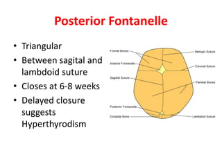 Posterior Fontanelle
• Triangular
• Between sagital and
lambdoid suture
• Closes at 6-8 weeks
• Delayed closure
suggests
Hyperthyrodism
 