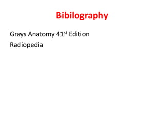 Bibilography
Grays Anatomy 41st Edition
Radiopedia
 