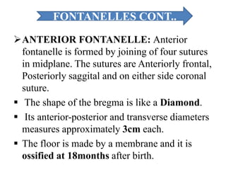 ANTERIOR FONTANELLE: Anterior
fontanelle is formed by joining of four sutures
in midplane. The sutures are Anteriorly frontal,
Posteriorly saggital and on either side coronal
suture.
 The shape of the bregma is like a Diamond.
 Its anterior-posterior and transverse diameters
measures approximately 3cm each.
 The floor is made by a membrane and it is
ossified at 18months after birth.
FONTANELLES CONT..
 