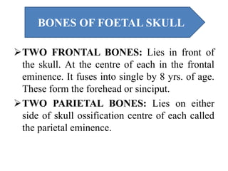 TWO FRONTAL BONES: Lies in front of
the skull. At the centre of each in the frontal
eminence. It fuses into single by 8 yrs. of age.
These form the forehead or sinciput.
TWO PARIETAL BONES: Lies on either
side of skull ossification centre of each called
the parietal eminence.
BONES OF FOETAL SKULL
 