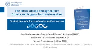 Strategic foresight for transforming agrifood systems
Swedish International Agricultural Network Initiative (SIANI)
Stockholm Environmental Institute (SEI)
Virtual Presentation, 24 May 2023
Lorenzo Giovanni Bellù, Senior Economist, Lead Policy Intelligence Branch - Global Perspectives
FAO UN – Rome
The future of food and agriculture
Drivers and triggers for transformation
 
