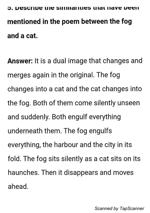 Fog Questions and Answers | PDF