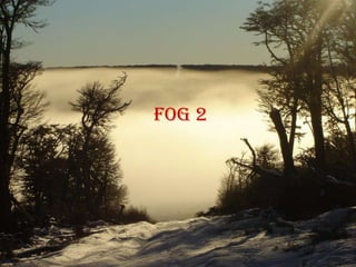 Fog 2
 