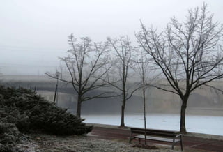 Fog freeze, (Timisoara, Romania)