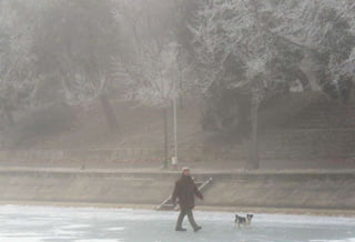 Fog freeze, (Timisoara, Romania)
