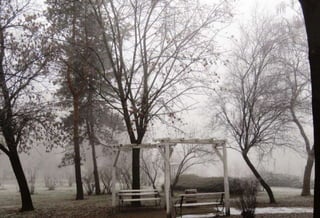 Fog freeze, (Timisoara, Romania)