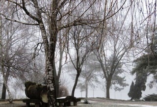 Fog freeze, (Timisoara, Romania)