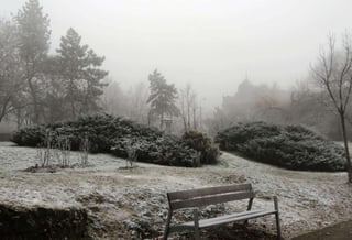 Fog freeze, (Timisoara, Romania)