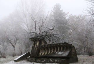 Fog freeze, (Timisoara, Romania)