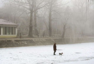 Fog freeze, (Timisoara, Romania)