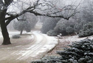 Fog freeze, (Timisoara, Romania)