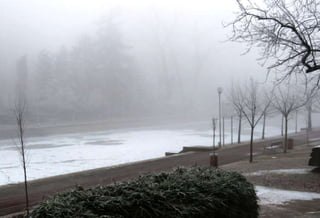 Fog freeze, (Timisoara, Romania)