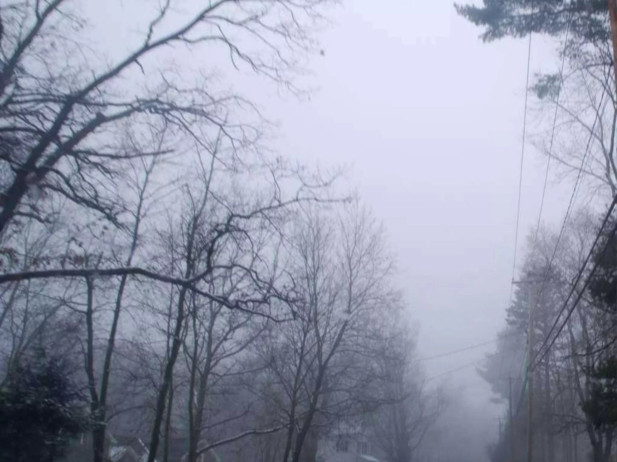 Fog frost & (nx power lite)